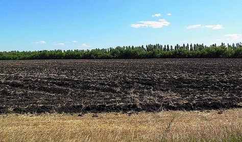 Фермеру станет проще решить земельный вопрос